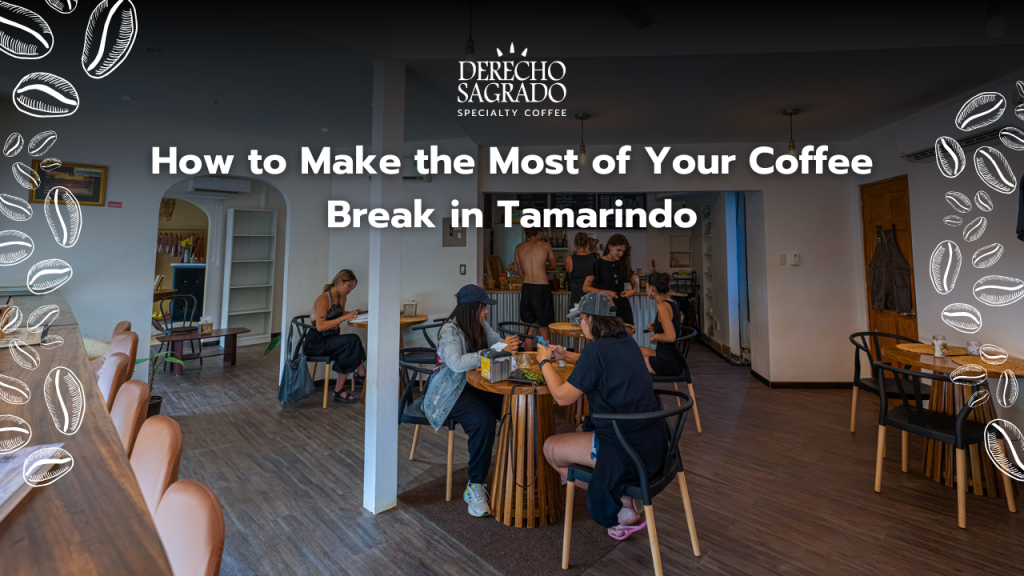 Derecho Sagrado Coffee Shop Tamarindo Costa Rica Blog Post Cover