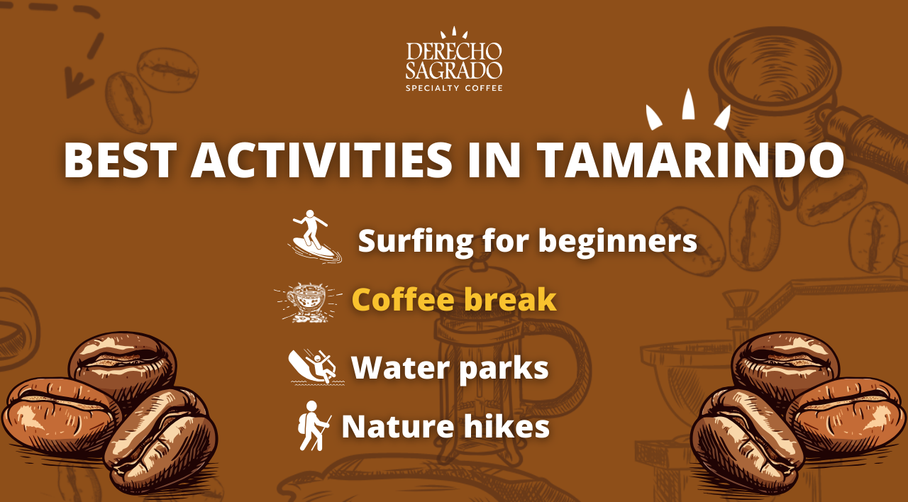 Infographic Highlighting Tamarindo's Coffee Culture and Family Vacation Aspects