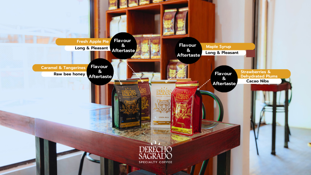 Infographic detailing coffee specialties at Derecho Sagrado