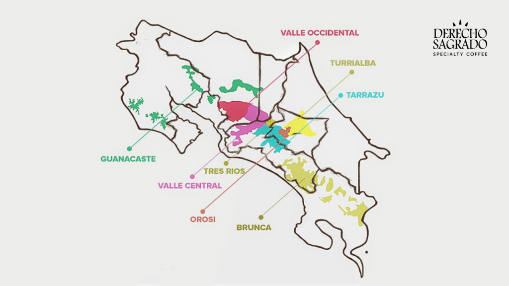 "Illustrated map of Costa Rica highlighting coffee-producing regions