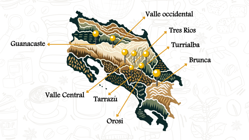 Map highlighting coffee regions in Costa Rica