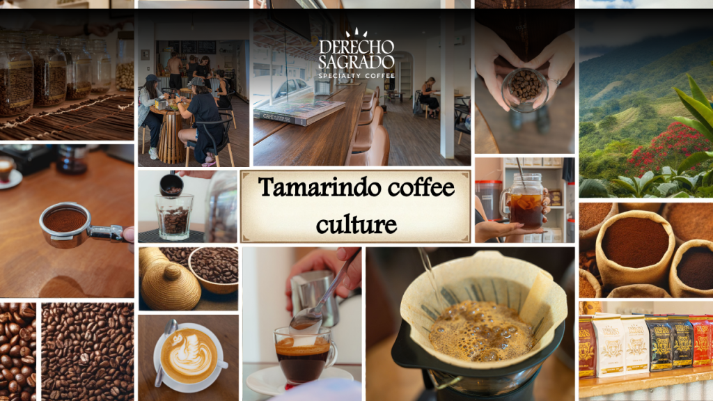 Montage of Tamarindo's vibrant coffee culture