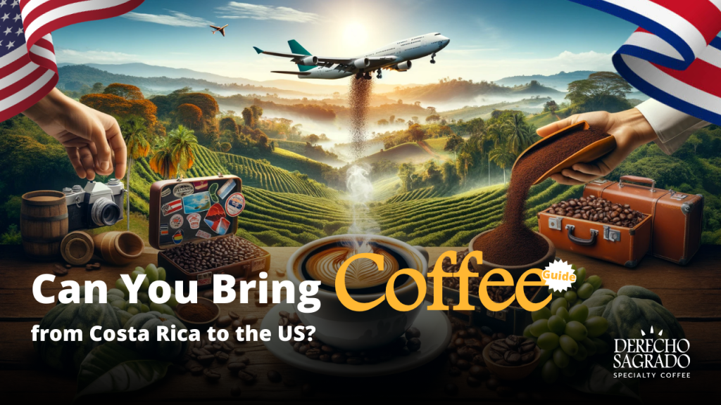 Vibrant Costa Rican coffee farm with diverse people enjoying authentic brew, and travel-themed elements symbolizing coffee's journey to the USA.