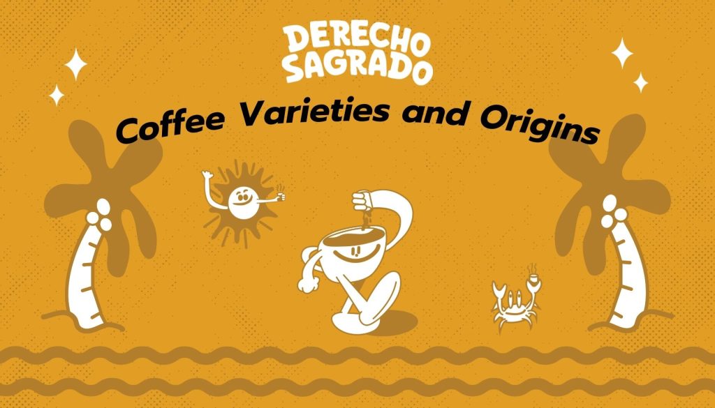 Derecho Sagrado Coffee Varieties and Origins